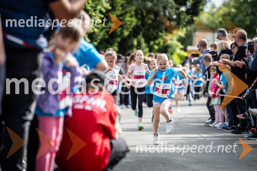 43. Maraton Treh src - tek