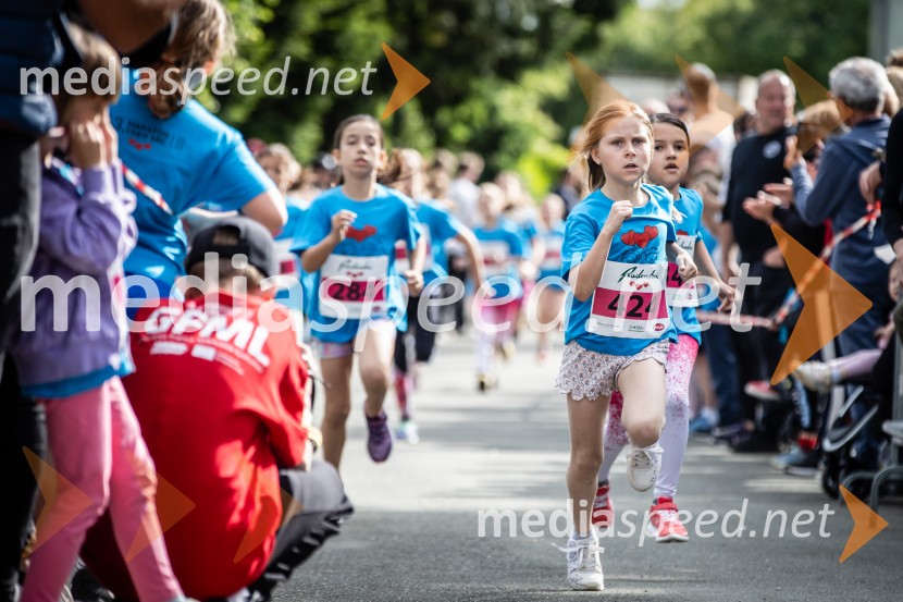 43. Maraton Treh src - tek