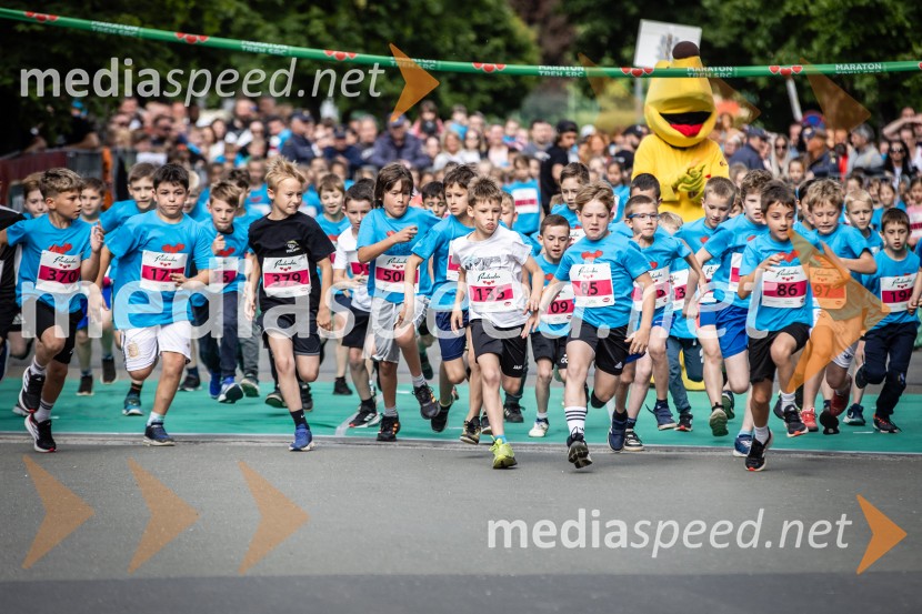 43. Maraton Treh src - tek