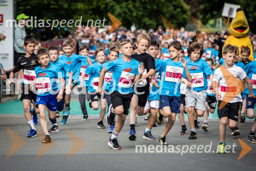 43. Maraton Treh src - tek