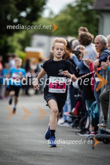 43. Maraton Treh src - tek