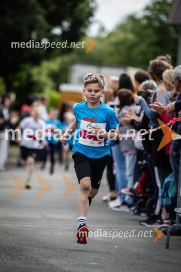 43. Maraton Treh src - tek