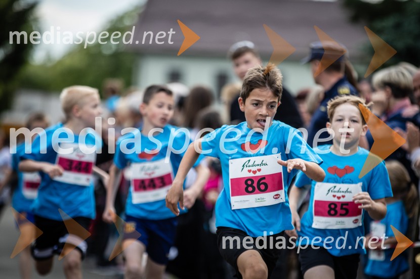 43. Maraton Treh src - tek