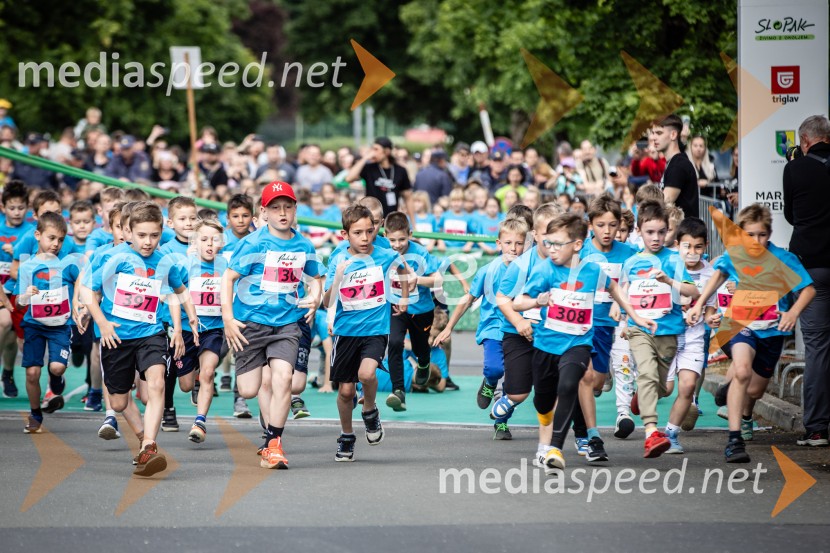 43. Maraton Treh src - tek