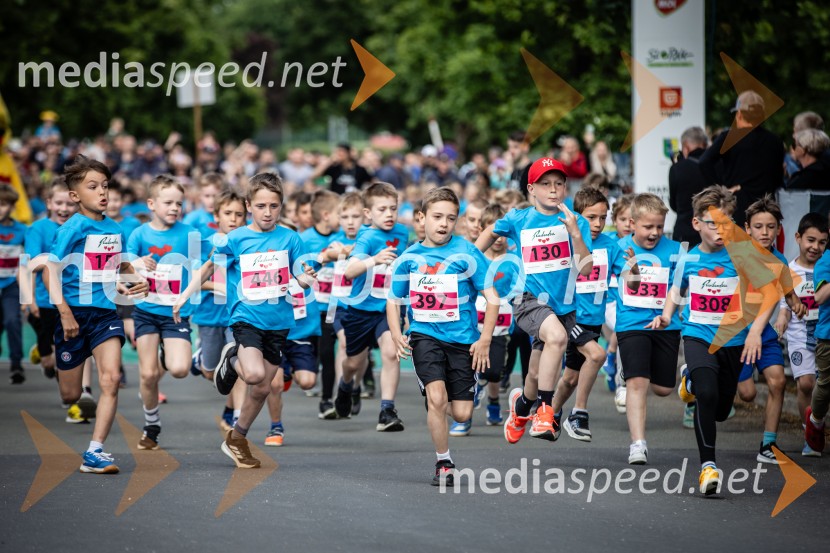 43. Maraton Treh src - tek