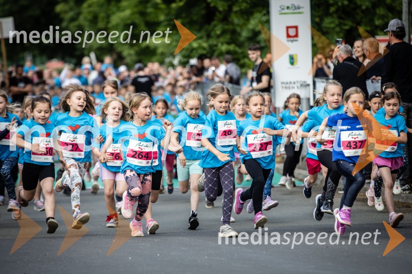 43. Maraton Treh src - tek