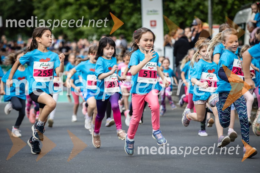 43. Maraton Treh src - tek