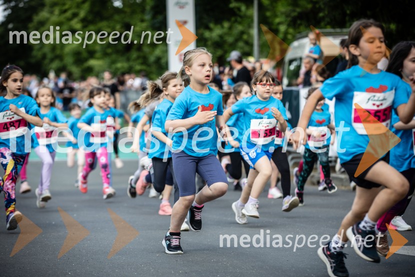 43. Maraton Treh src - tek