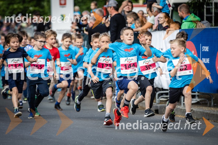 43. Maraton Treh src - tek