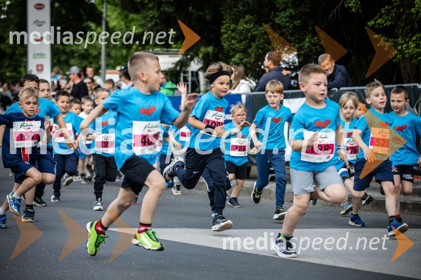 43. Maraton Treh src - tek