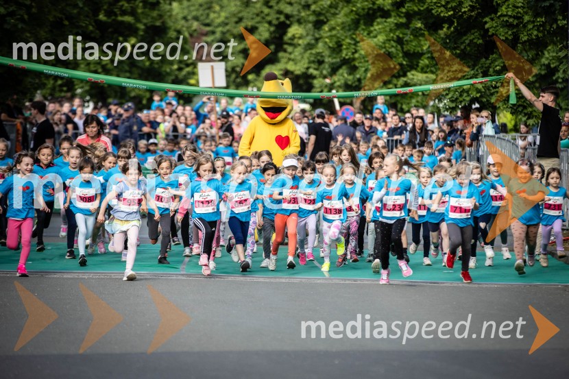 43. Maraton Treh src - tek