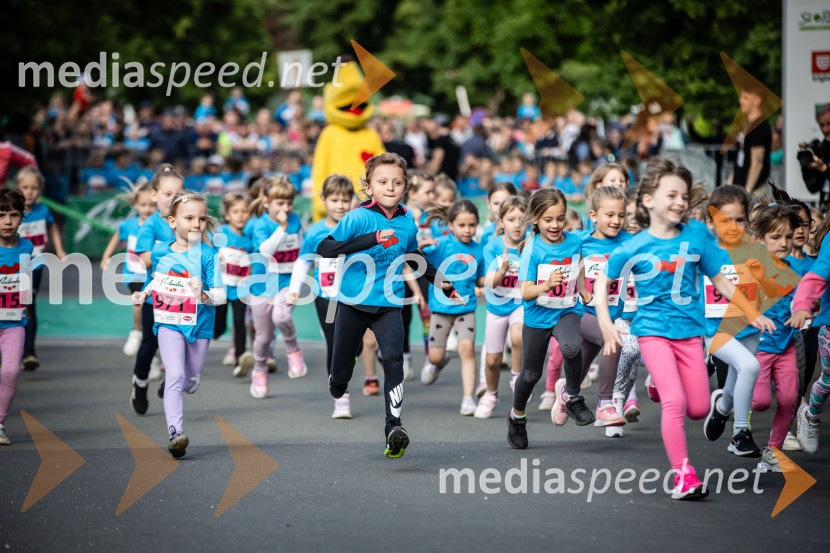 43. Maraton Treh src - tek