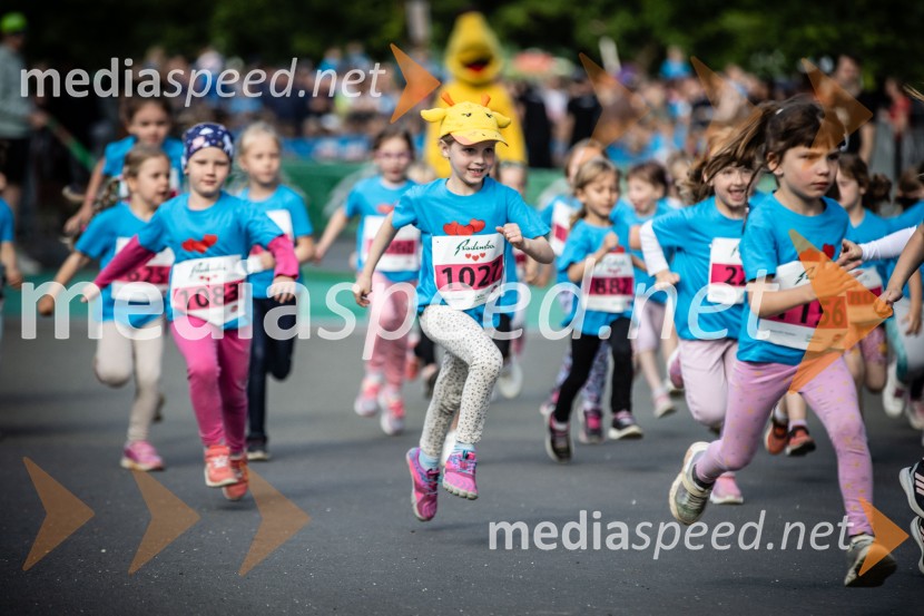 43. Maraton Treh src - tek