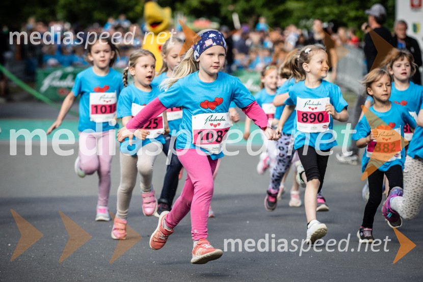 43. Maraton Treh src - tek