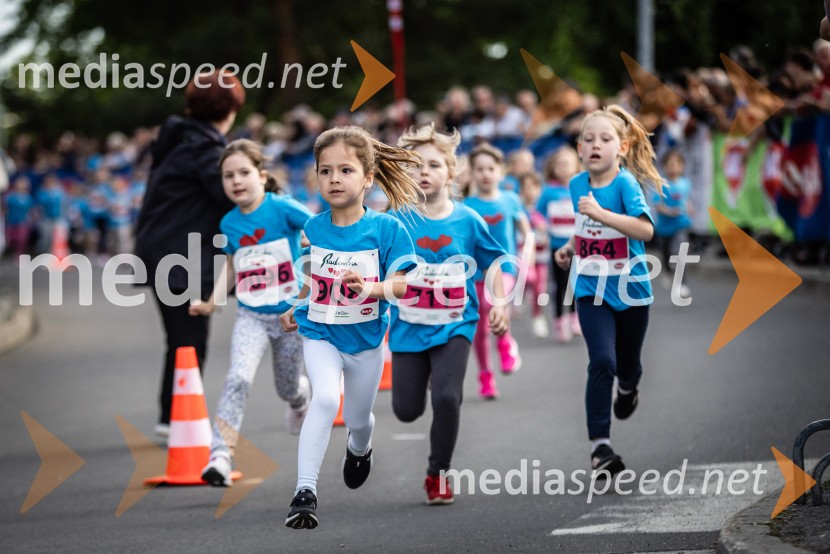 43. Maraton Treh src - tek