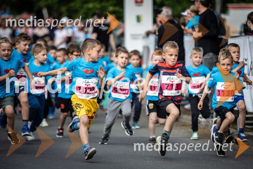 43. Maraton Treh src - tek