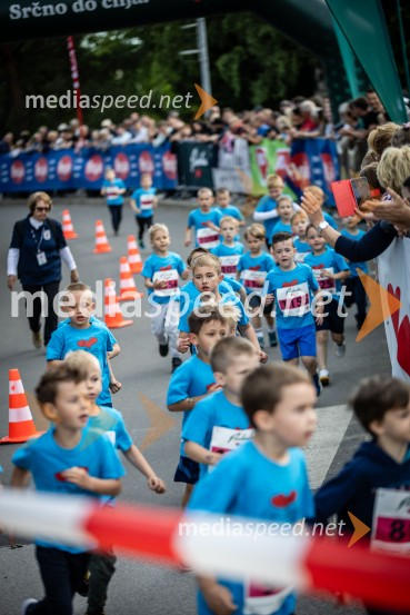 43. Maraton Treh src - tek