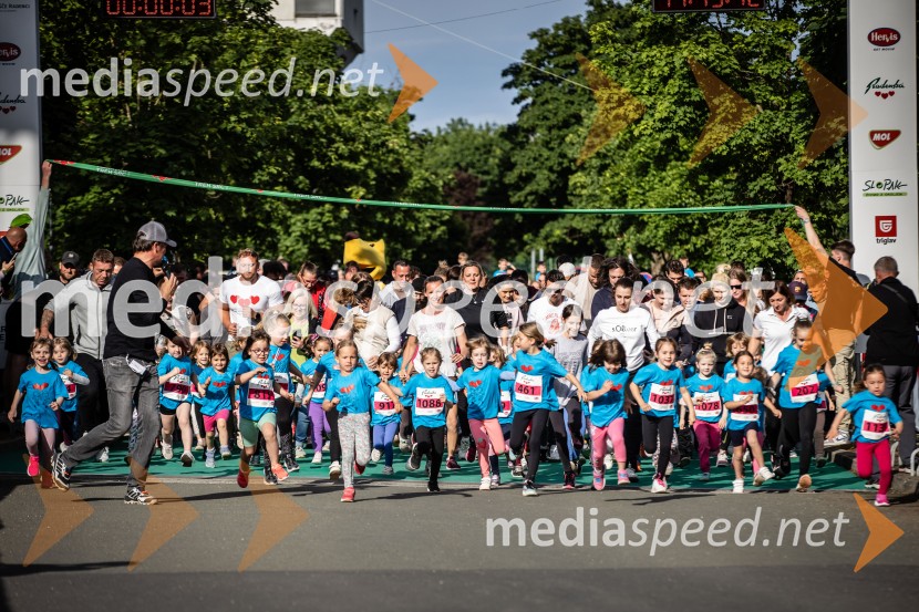 43. Maraton Treh src - tek