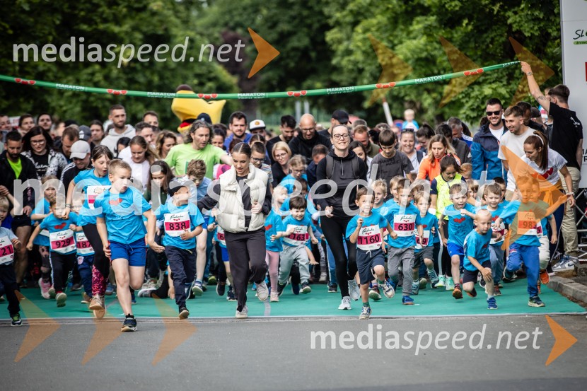 43. Maraton Treh src - tek