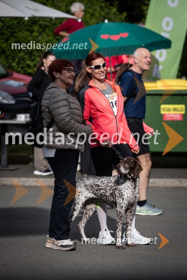 43. Maraton Treh src