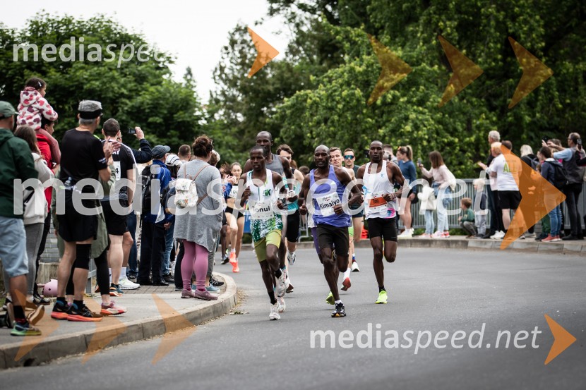 43. Maraton Treh src - tek