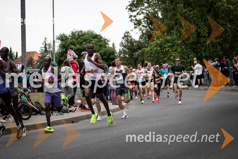 43. Maraton Treh src - tek