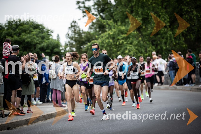 43. Maraton Treh src - tek