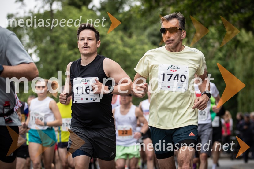 43. Maraton Treh src - tek