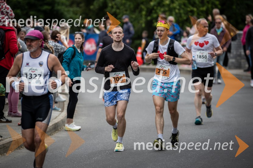 43. Maraton Treh src - tek