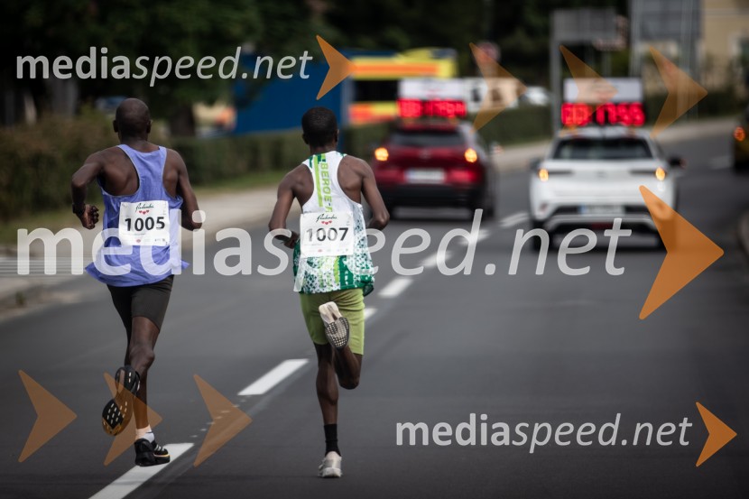 43. Maraton Treh src - tek