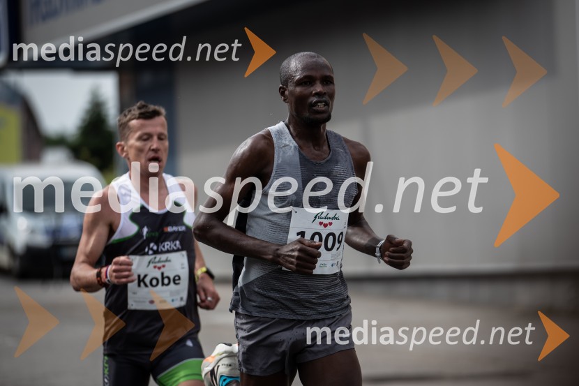 43. Maraton Treh src - tek