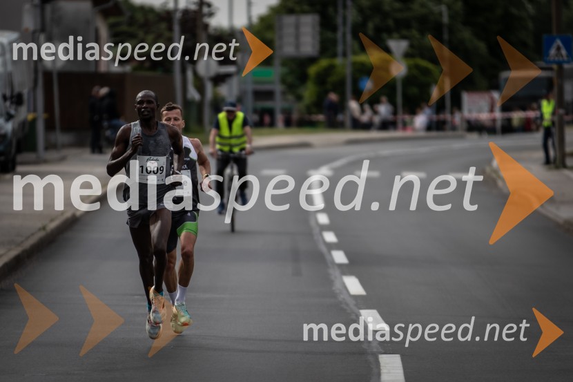 43. Maraton Treh src - tek