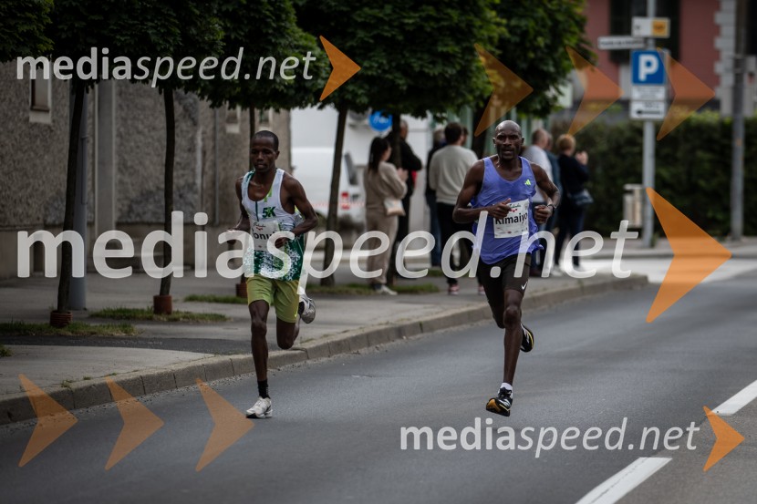 43. Maraton Treh src - tek