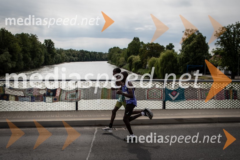 43. Maraton Treh src - tek