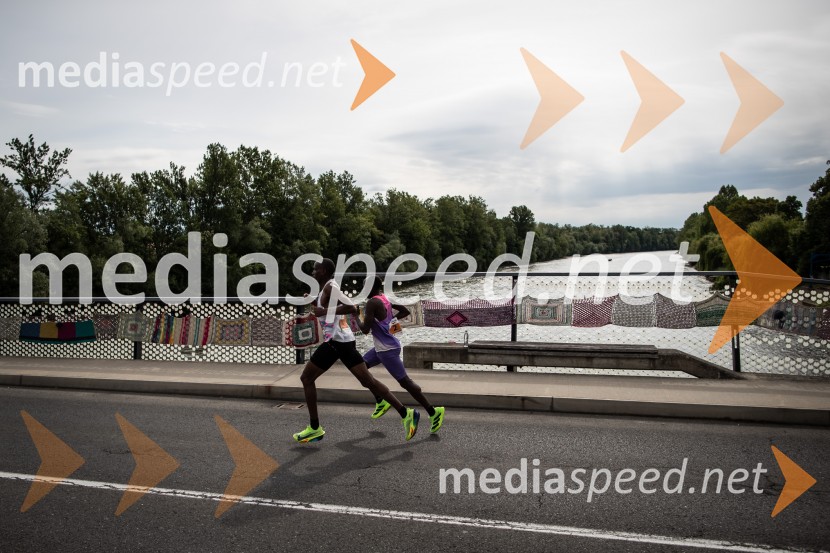 43. Maraton Treh src - tek