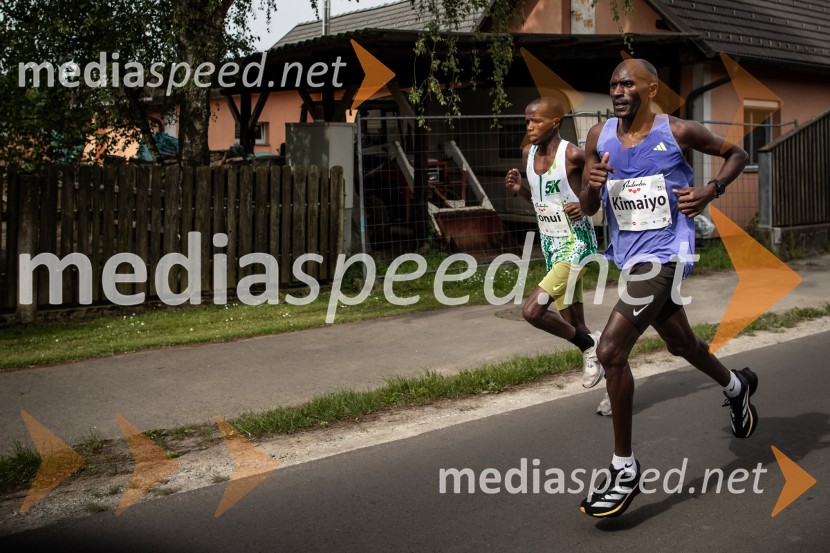 43. Maraton Treh src - tek