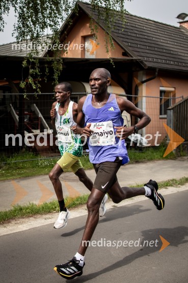 43. Maraton Treh src - tek