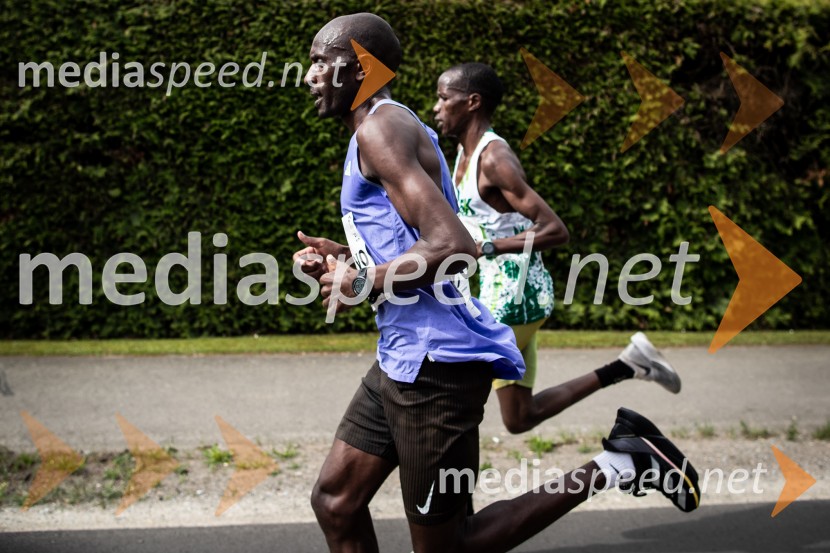 43. Maraton Treh src - tek