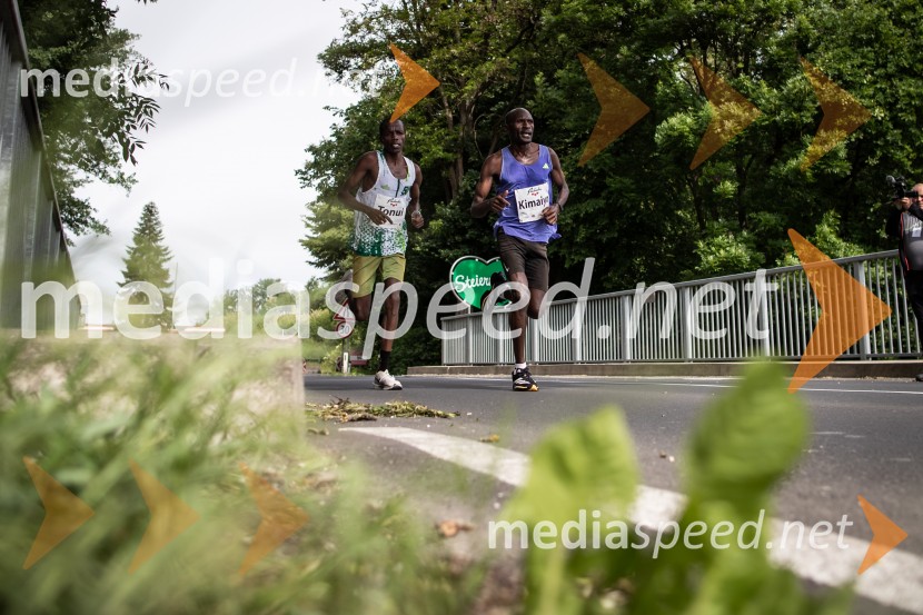 43. Maraton Treh src - tek