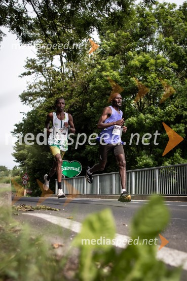 43. Maraton Treh src - tek