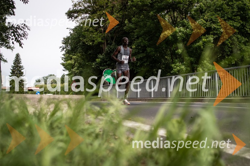 43. Maraton Treh src - tek