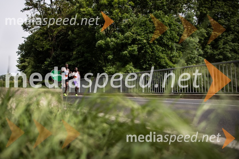 43. Maraton Treh src - tek