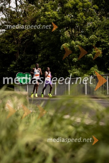 43. Maraton Treh src - tek