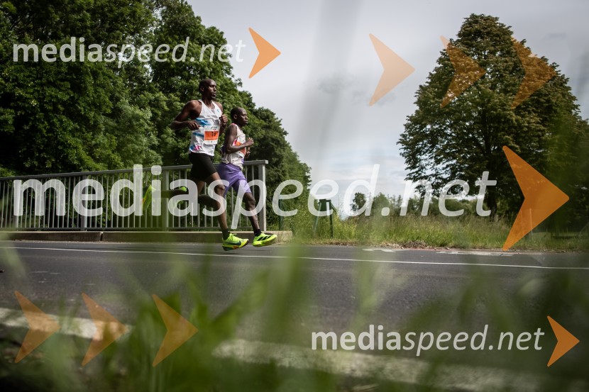 43. Maraton Treh src - tek