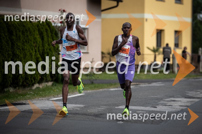 43. Maraton Treh src - tek