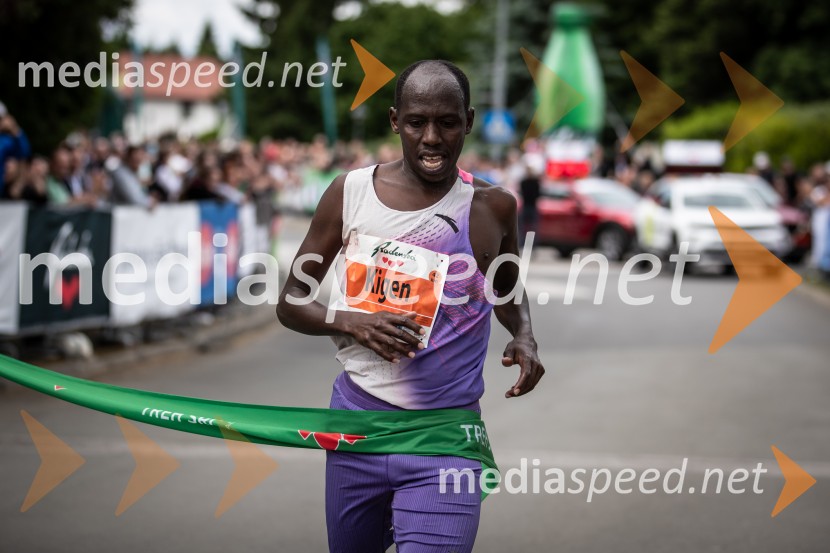 43. Maraton Treh src - tek