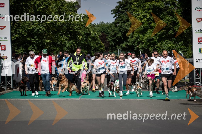 43. Maraton Treh src - tek