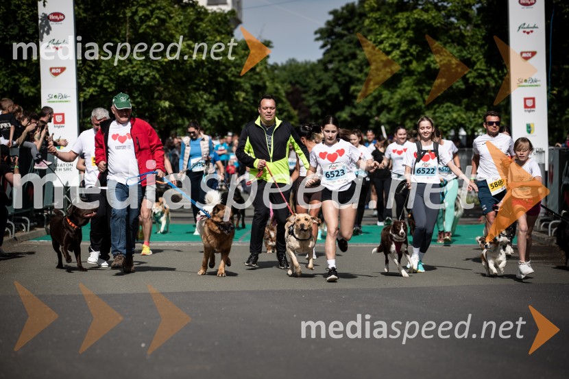 43. Maraton Treh src - tek