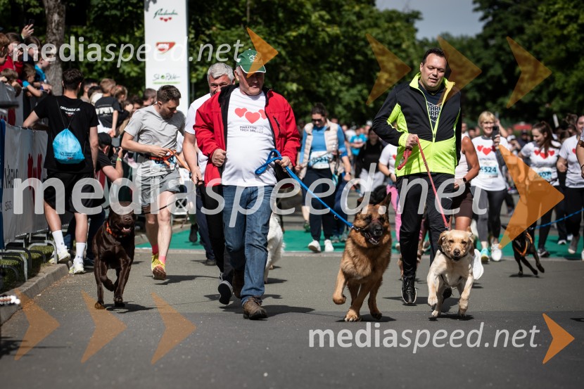 43. Maraton Treh src - tek