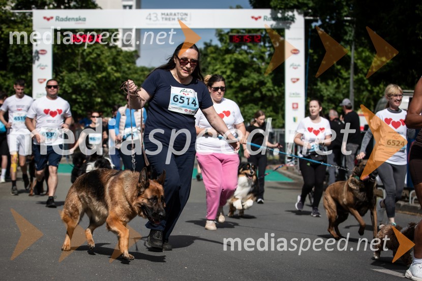 43. Maraton Treh src - tek